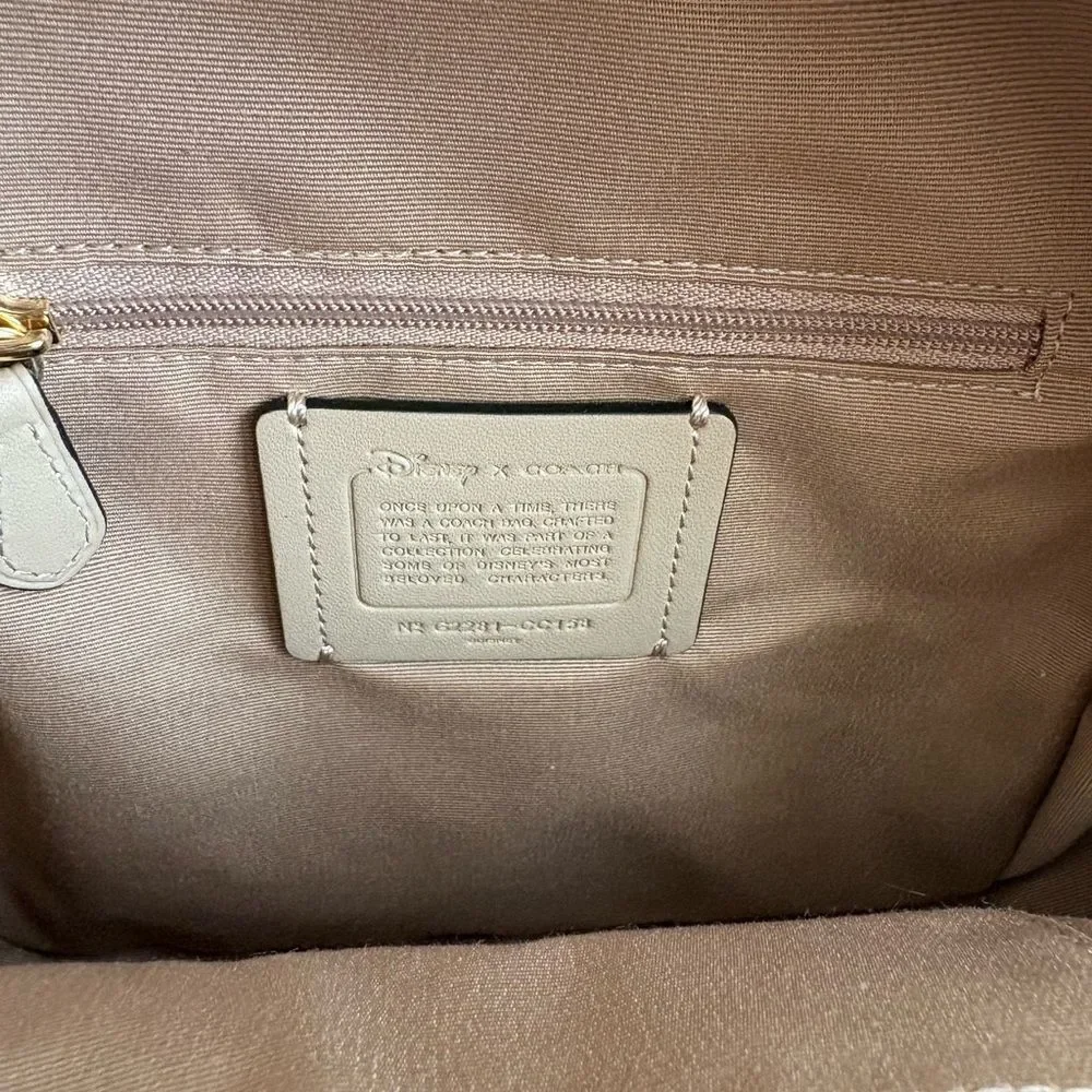 Coach Disney mini Backpack
